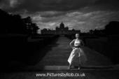 York Press PR Photographer