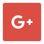 Google+ icon